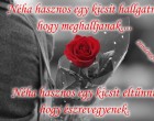 Néha hasznos egy kicsit hallgatni, hogy meghalljanak.... Néha hasznos egy kicsit eltűnni, hogy észrevegyenek.