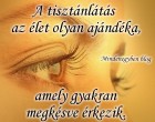 A tisztánlátás az élet olyan ajándéka, amely gyakran megkésve érkezik.