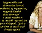 Úgyis a szív dönt, és csakis az ő döntése számít...