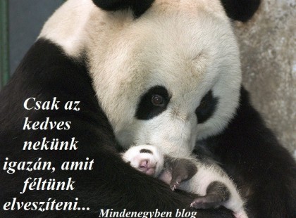 Csak az kedves nekünk igazán, amit féltünk elveszíteni...