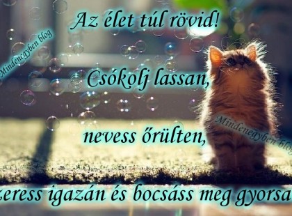 Az élet túl rövid! Csókolj lassan, nevess őrülten, szeress igazán és bocsáss meg gyorsan.