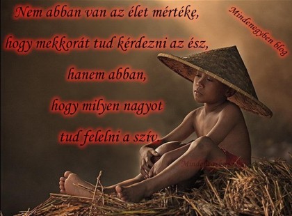 Nem abban van az élet mértéke, hogy mekkorát tud kérdezni az ész, hanem abban, hogy milyen nagyot tud felelni a szív.