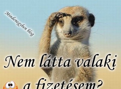 Nem látta valaki a fizetésem?