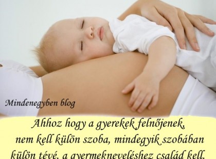 Ahhoz hogy a gyerekek felnőjenek, nem kell külön szoba, mindegyik szobában külön tévé, a gyermekneveléshez család kell.