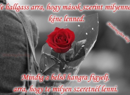 Ne hallgass arra, hogy mások szerint milyennek kéne lenned. Mindig a belső hangra figyelj, arra, hogy te milyen szeretnél lenni.