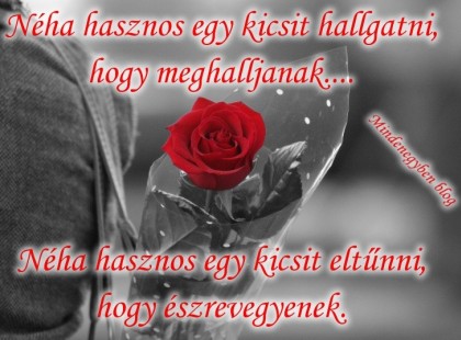 Néha hasznos egy kicsit hallgatni, hogy meghalljanak.... Néha hasznos egy kicsit eltűnni, hogy észrevegyenek.