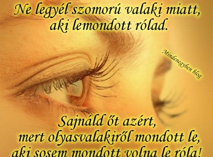 Ne legyél szomorú valaki miatt, aki lemondott rólad. Sajnáld őt azért, mert olyasvalakiről mondott le, aki sosem mondott volna le róla!