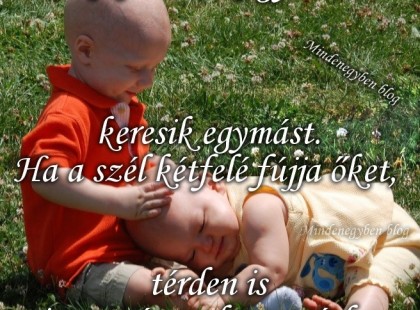 Akik szeretik egymást, keresik egymást. Ha a szél kétfelé fújja őket, térden is visszamásznak egymáshoz.