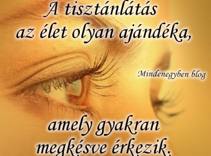 A tisztánlátás az élet olyan ajándéka, amely gyakran megkésve érkezik.