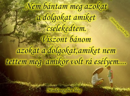 Nem bántam meg azokat a dolgokat amiket cselekedtem. Viszont bánom azokat a dolgokat,amiket nem tettem meg amikor volt rá esélyem....