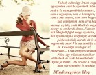 Tudod, néha úgy érzem hogy egyszerűen csak le szeretnék ülni egy padra és nem gondolni semmire, sem a tegnapra, sem a holnapra, sem a mai napra, sem arra hogy mit kell csinálnom, sem arra hogy mennyi az idő, csak ülnék és nézném ahogy az emberek élnek