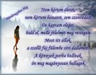 Nem kértem életet, nem kértem bánatot, sem szenvedést, De kaptam eleget, hidd el, mellé félelmet meg rettegést. Most itt állok, a szellő fúj fülembe síró dallamot, A könnyek porba hullnak, én meg magányosan ballagok.