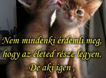 Nem mindenki érdemli meg, hogy az életed része legyen.De aki igen ,azt Te is becsüld meg és vigyázz rá!