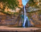 Oasis in the Desert By Larry Zimmer Photography