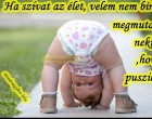 Ha szívat az élet, velem nem bírhat,megmutatom neki ,hová puszilhat!