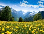 Spring in Switzerland