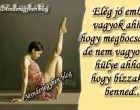 Elég jó ember vagyok ahhoz, hogy megbocsássak. de nem vagyok elég hülye ahhoz, hogy bízzak is benned..