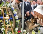 Szívbemarkoló! Így búcsúzott egykori gazdájától a K-9-es rendőrkutya.