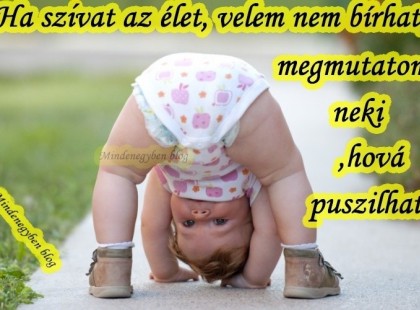 Ha szívat az élet, velem nem bírhat,megmutatom neki ,hová puszilhat!