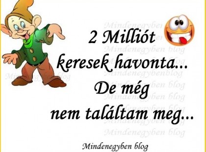 2 Milliót keresek havonta...De még nem találtam meg...