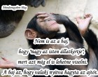 Nem is az a baj, hogy
