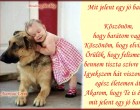 Mit jelent egy jó barát? Köszönöm, hogy barátom vagy. Köszönöm, hogy elviselsz. Örülök, hogy felismerted, bennem tiszta szívre lelsz.