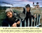 Az idős szív is szeretetre éhes, a ráncos arcon, kedves a mosoly. Nem túl nehéz eljutni a szívéhez, s a zsörtölődés gyakran nem komoly. Egy cica hozhat egy kis melegséget, dorombolása öröm forrás lehet. Ha múlik is, nem ér véget az élet, csak kitölti egy cseppnyi szeretet...
