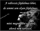 A változás fájdalmas lehet, de semmi sem olyan fájdalmas, mint megrekedni valahol, ahová nem tartozol.