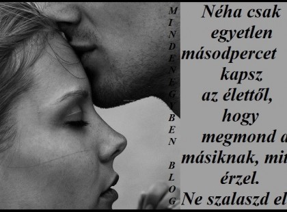 Néha csak egyetlen másodpercet kapsz az élettől, hogy megmond a másiknak, mit érzel. Ne szalaszd el!