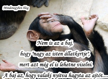 Nem is az a baj, hogy 