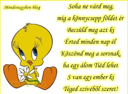 Soha ne várd meg,míg a könnycsepp földet ér Becsüld meg azt ki Érted minden nap él Köszönd meg a sorsnak,ha egy álom Tiéd lehet S van egy ember ki Téged szívéből szeret!