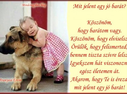 Mit jelent egy jó barát? Köszönöm, hogy barátom vagy. Köszönöm, hogy elviselsz. Örülök, hogy felismerted, bennem tiszta szívre lelsz.