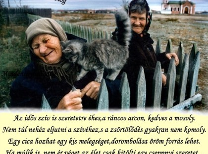 Az idős szív is szeretetre éhes, a ráncos arcon, kedves a mosoly. Nem túl nehéz eljutni a szívéhez, s a zsörtölődés gyakran nem komoly. Egy cica hozhat egy kis melegséget, dorombolása öröm forrás lehet. Ha múlik is, nem ér véget az élet, csak kitölti egy cseppnyi szeretet...