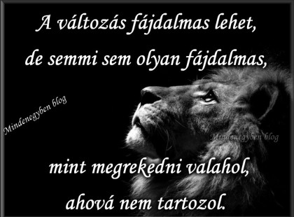 A változás fájdalmas lehet, de semmi sem olyan fájdalmas, mint megrekedni valahol, ahová nem tartozol.