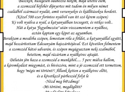 Szívom a hátsó teraszon a cigit, és látom, hogy a kutyám a szomszéd kerítése alól bújik át valami fehér állatkával a szájában.