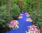 River of Flowers Keukenhof Bulbflower garden,Holland!