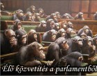 Élő közvetítés a parlamentből