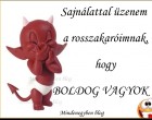 Sajnálattal üzenem a rosszakaróimnak, hogy - BOLDOG VAGYOK !