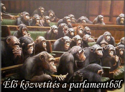 Élő közvetítés a parlamentből