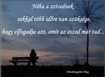 Néha a szívednek sokkal több időre van szüksége, hogy elfogadja azt, amit az eszed már tud.