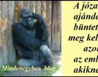 A józan ész nem ajándék, hanem büntetés, mert meg kell birkózni azokkal az emberekkel, akiknek nincs.