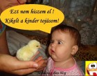 Ezt nem hiszem el ! Kikelt a kinder tojásom!