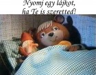 Régi Tévémaci az igazi maci :D