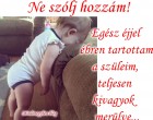 Ne szólj hozzám! Egész éjjel ébren tartottam a szüleim,teljesen kivagyok merülve ... :D