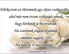 Elérkeztem az életemnek egy olyan szakaszához.....