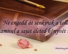 Ne engedd át senkinek a tollat, amivel a saját életed könyvét írod.