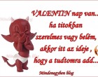 VALENTIN nap van... ha titokban szerelmes vagy belém,akkor itt az ideje ,hogy a tudtomra add