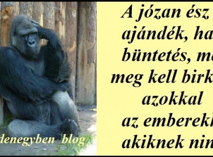 A józan ész nem ajándék, hanem büntetés, mert meg kell birkózni azokkal az emberekkel, akiknek nincs.