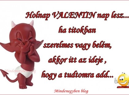 Holnap VALENTIN nap lesz... ha titokban szerelmes vagy belém,akkor itt az ideje ,hogy a tudtomra add