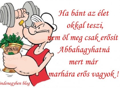 Ha bánt az élet okkal teszi, nem öl meg csak erősít !Abbahagyhatná mert már marhára erős vagyok !